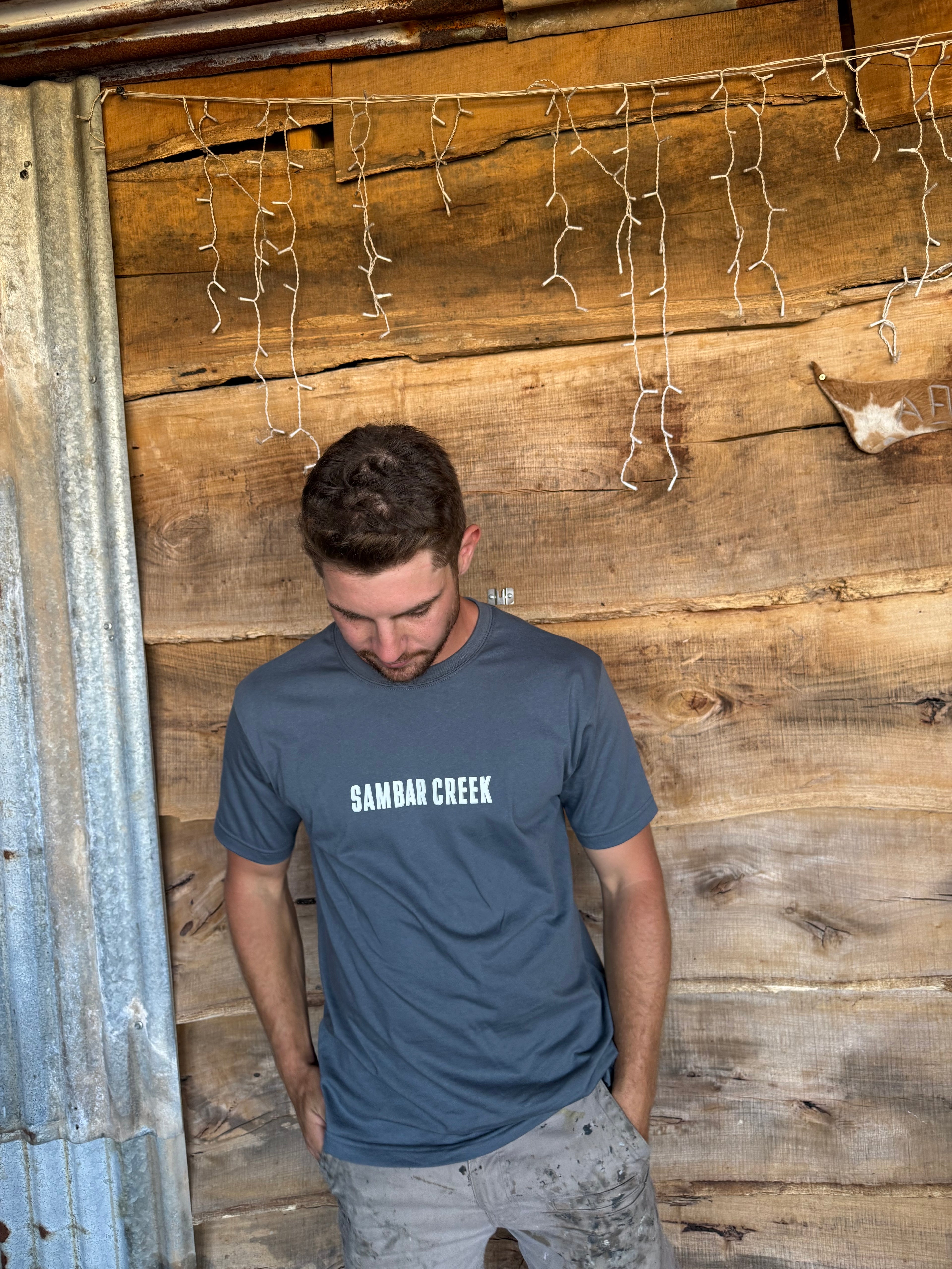 Sambar Creek Premium Tees - Stone